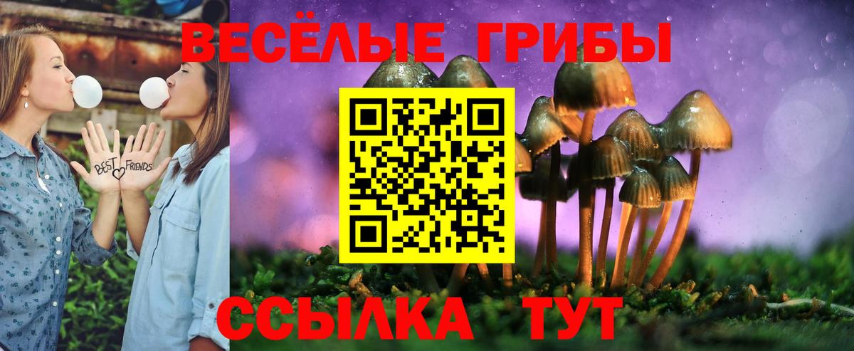 Псилоцибиновые грибы Magic Shrooms  Псилоцибиновые грибы GOLDEN TEACHER  Брянск  Вход с VPN 